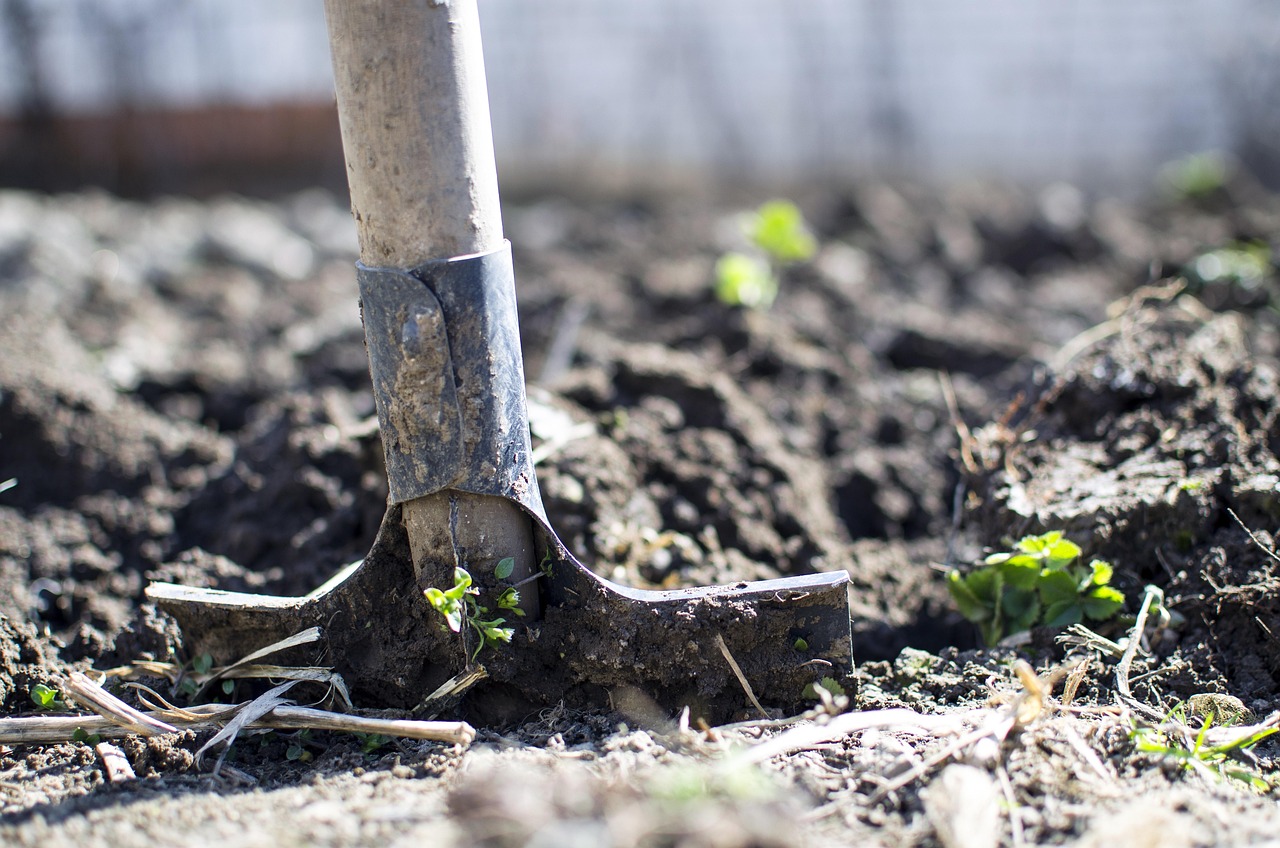 Correcte houding bij ergonomisch wieden van tuin. Correcte houding bij ergonomisch wieden van tuin.
