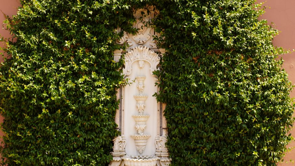 Kleine, decoratieve muurtuinfontein tussen groene bladeren. Kleine, decoratieve muurtuinfontein tussen groene bladeren.