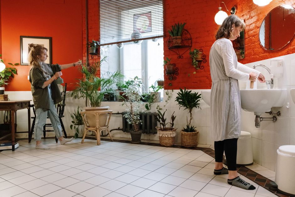 Hydrocultuurplanten op houten rek in badkamer.